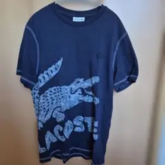 LACOSTE 半袖Tシャツ ネイビー Lサイズ