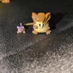 立体ポケモン図鑑 ラッタ コラッタ フィギュア