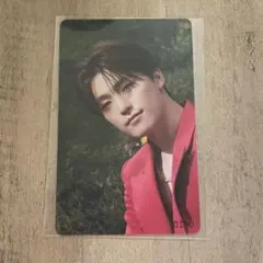 SECTOR17 ディノ トレカ