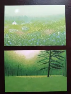 葉祥明　「妖精の棲む森」　限定版画 Amazon.co.jp: 絵画 葉祥明（ ようしょうめい ）・ 妖精の棲む森