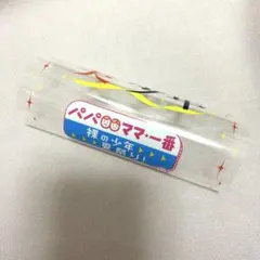 美 少年 ペンライト シート　パパママ一番 裸の少年 夏祭り！ サマステ　美少年のサムネイル