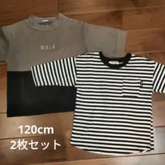 120cm Tシャツ 2枚セット　5分袖