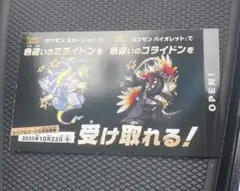 色違い コライドン、ミライドン