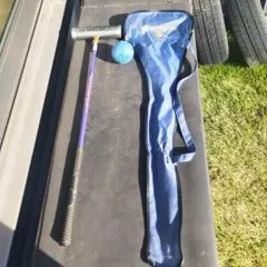 Item thumbnail for item 0581e4c9-91f2-4317-a3c2-22fe66444a67