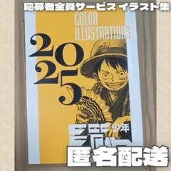 少年ジャンプ非売品イラスト集 COLOR ILLUSTRATIONS 2025 - メルカリ