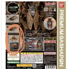 いきもの大図鑑アドバンス セミ02 2個セット