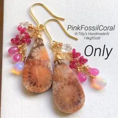 フォッシルコーラル ピアス