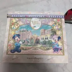 東京ディズニーシー ミッキー ミニー ボックス