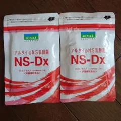 アルタイ NS乳酸菌4袋セット アルタイのNS乳酸菌「新NS-Dx」 : SandS-market - 通販