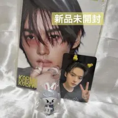 straykids KARMA アコーディオン　リノ　新品未開封　リービット