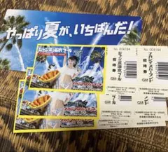 ナガシマスパーランド ジャンボ海水プール 特別入場券 2枚 - メルカリ