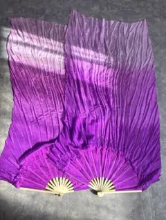 Item thumbnail for item 74cc6bd9-c759-4169-939e-a7e174e0cfd7