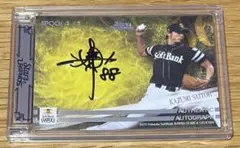 Item thumbnail for item 680e455d-2fa6-461c-bbd3-378395534f00