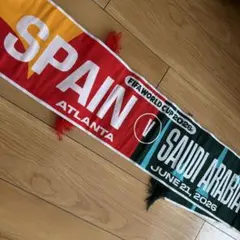 ワールドカップ2026 日本vsオランダ&スウェーデン マッチデータオル