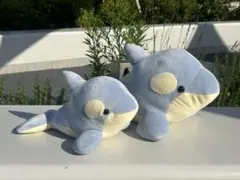 須磨シーワールド シャチ オルカくじ 新色 ショコラデュオカラー 4等