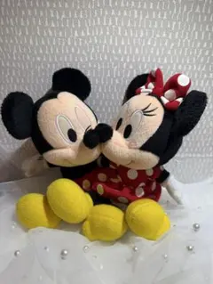 【お値下げ可能⭕️】ミッキー＆ミニー ぬいぐるみセット