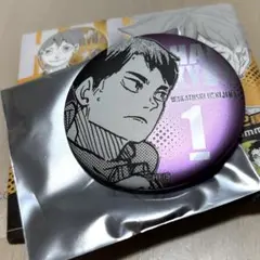 ハイキュー デコレクション缶バッジ 第3弾 牛島若利