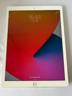 IPad Pro 12.9 第2生代 WiFi + Cellular 512GB