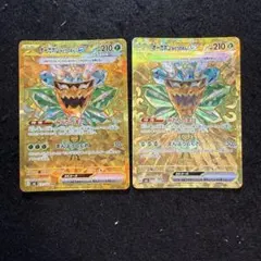 ポケモンガードゲーム　引退品　みどりのめん オーガポン みどりのめんex | ポケモンカードゲーム公式ホームページ