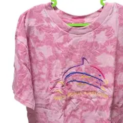 【古着】アメカジ フルーツオブザルーム Tシャツ ピンク US輸入イルカ刺繍