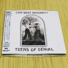 カー・シート・ヘッドレスト「ティーンズ・オブ・ディナイアル」