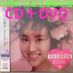 松田聖子 Strawberry Time スリムケース盤ビデオCDV超レア希少品
