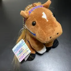 アイドルホース　テイエムオペラオー