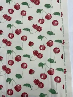 Item thumbnail for item ef19f59d-77a9-489d-b014-0413f25455d1