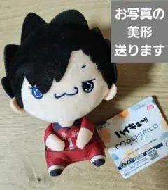 黒尾鉄朗 ハイキュー!! もちぴこぬいぐるみ