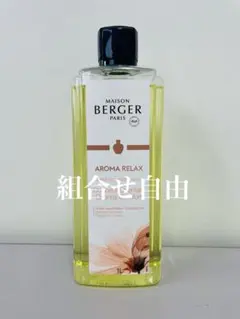 2025年最新】ランプベルジェランプの人気アイテム - メルカリ