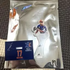 オイシックス新潟アルビレックスBC アクリルスタンド　三上朋也