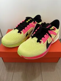 トシ様専用 ナイキ ペガサス40プレミアム 