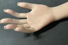 美大生の手 標本 シリコン製 美大生の手 - メルカリ