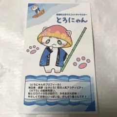 Item thumbnail for item 3d0b626b-3ef9-4045-b006-6ff24bd5123f