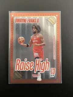 ドウェインエバンス　レアカード　BBM