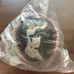 阪神タイガース 鳥谷敬 2010年フォトボール サイン入り 未開封のサムネイル