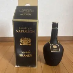 MARTIN FRERES NAPOLEON ブランデー 古酒 - メルカリ