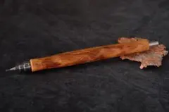 Item thumbnail for item a72720d6-a3ea-4986-a97e-aa13aaf5fed1