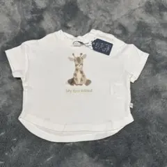 バースデイ　Cottoli 刺繍Tシャツ トップス 80cm