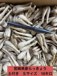 毎年人気！鹿児島産 らっきょう 10kg パリッと食感！87 | Mercari