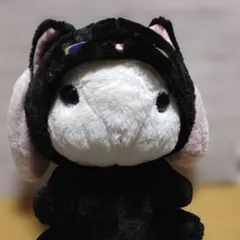靴下にゃんこ 花柄リボン ぬいぐるみXL プレミアム - メルカリ