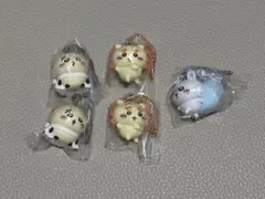 ちいかわマスコットつきビスケット　マスコット5個