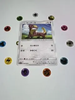 ヤングース C SM1S コレクションサン 049/060 ポケモンカードのサムネイル