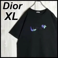 【美品・XL】 Dior×ケニーシャーフ　刺繍ロゴ　半袖　Tシャツ　ブラック　黒