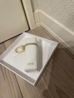 Dior プラチナ会員　ウェルカムギフト　リップケースのみ