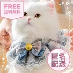 Item thumbnail for item f1e2ac57-5447-4187-8edd-506197153c2c