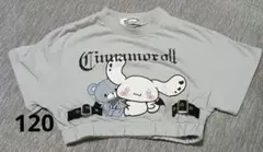 シナモロール ショート丈 Tシャツ