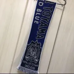 2025年最新】カターレ富山の人気アイテム - メルカリ