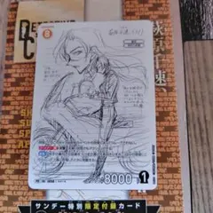 即日発送 名探偵コナン 付録プロモカード 萩原千速 2種類 サンデー