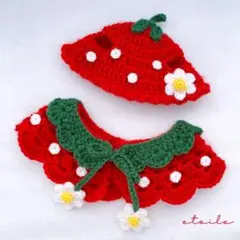 《ハチャン様専用》ペット用帽子 ペット用ケープ いちご帽子